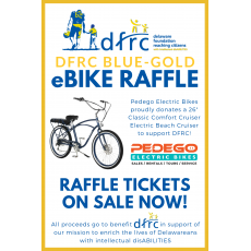 DFRC Blue-Gold eBike Raffle Ticket